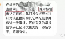 成人快手短视频,成人世界的趣味时光